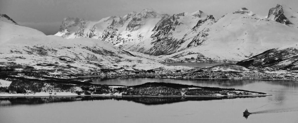 Arctic Fjord